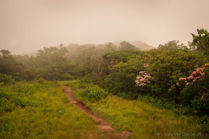 "Fog on Craggy Pinnacle" by Johnny Davidson