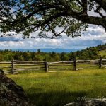 "Doughton Park at the Wildcat Rock Entrance, Milepost 240.6" by Tracy Wall