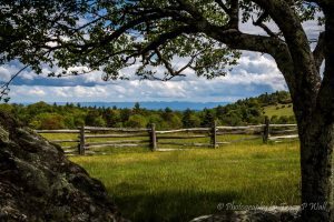 "Doughton Park at the Wildcat Rock Entrance, Milepost 240.6" by Tracy Wall