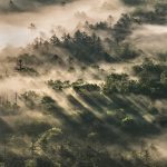 "Morning Rays at Pounding Mill Overlook" by Tim Williams