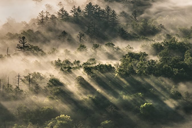 "Morning Rays at Pounding Mill Overlook" by Tim Williams