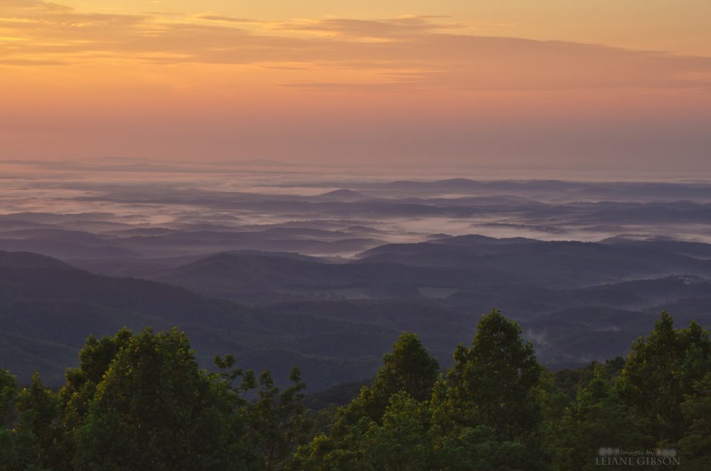 "The Saddle Overlook, Milepost 168" by Leiane Gibson