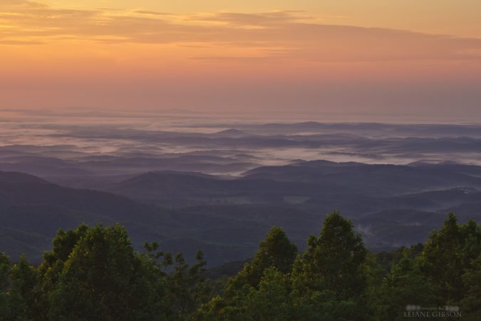 "The Saddle Overlook, Milepost 168" by Leiane Gibson