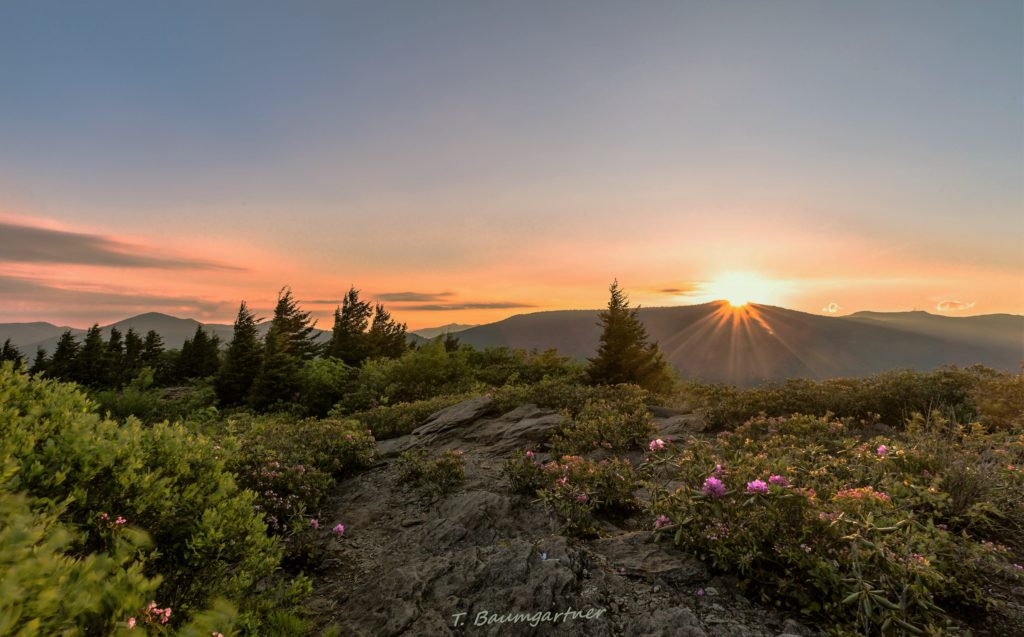 "Sunrise at the Pinnacle of Graybeard Overlook, Milepost 363.4" by Tim Baumgartner