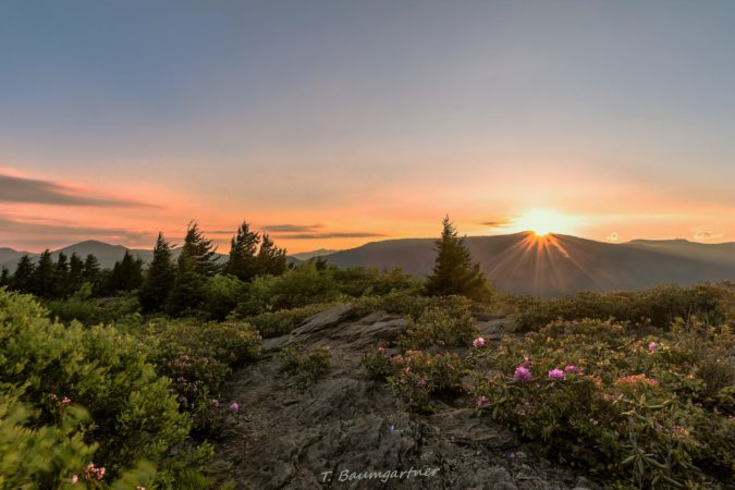 "Sunrise at the Pinnacle of Graybeard Overlook, Milepost 363.4" by Tim Baumgartner