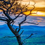 "View from Flat Rock, Milepost 308.3" by Paul Cory Photography