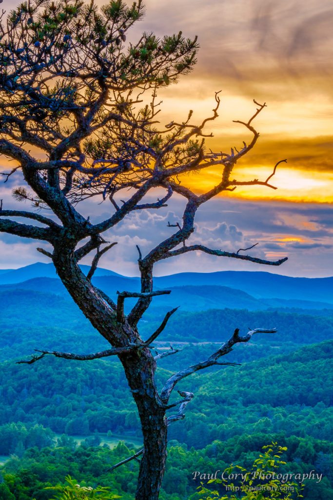 "View from Flat Rock, Milepost 308.3" by Paul Cory Photography