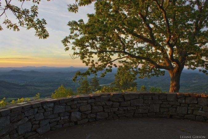 "Fox Hunter's Paradise, Milepost 218.6" by Leiane Gibson