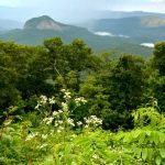 "Looking Glass Rock Overlook, Milepost 417" by Mandy Quinzi
