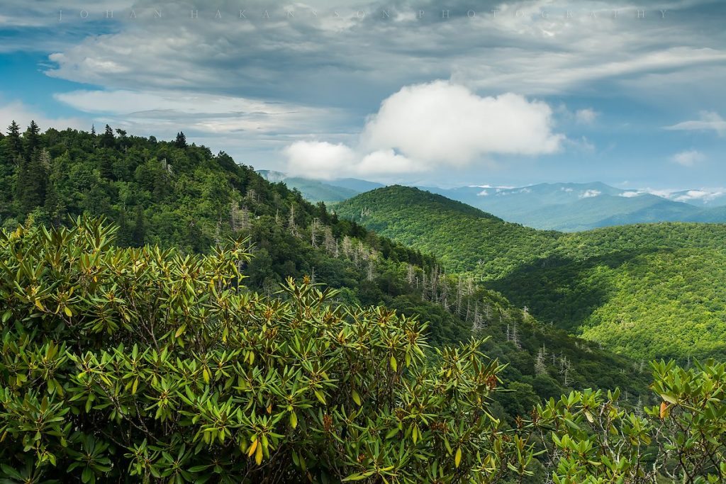 "East Fork Overlook, Milepost 418.3" by Johan Hakansson Photography