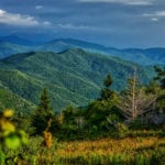 "Shining Rock Wilderness" by Daniel Plotts