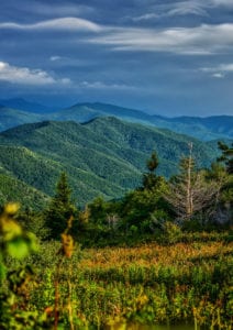 "Shining Rock Wilderness" by Daniel Plotts