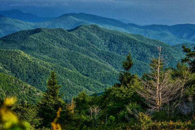 "Shining Rock Wilderness" by Daniel Plotts