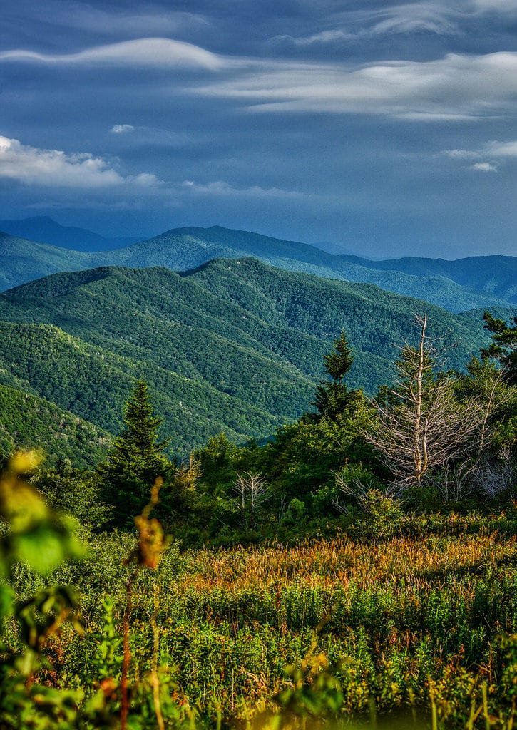 "Shining Rock Wilderness" by Daniel Plotts