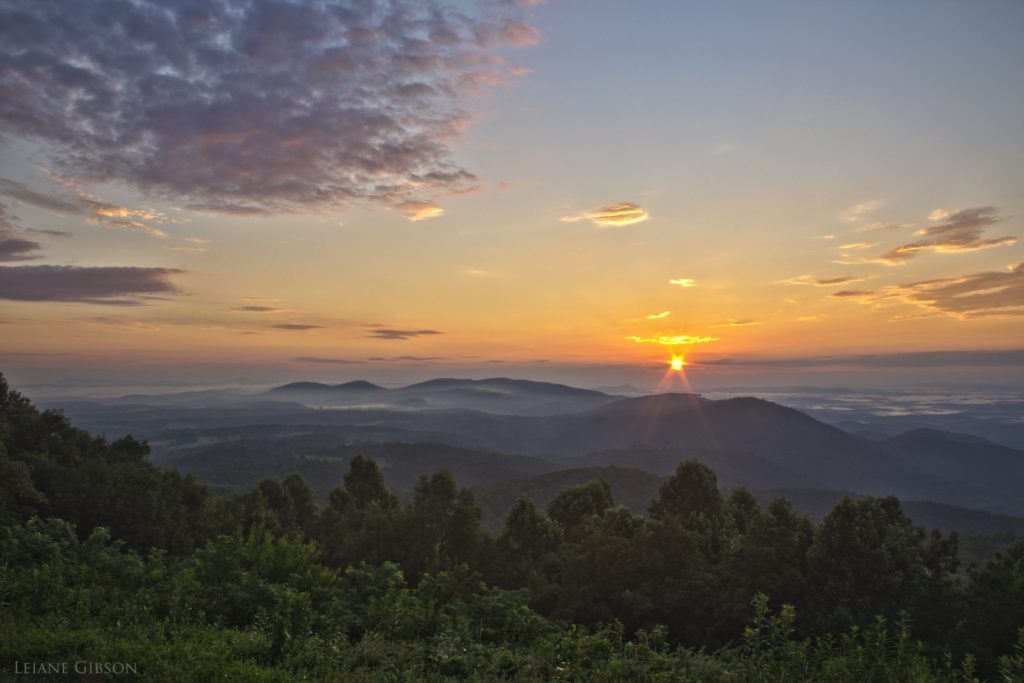 "The Saddle Overlook, Milepost 168" by Leiane Gibson
