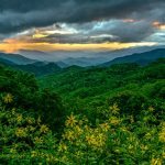 "Wildflowers at Thunder Struck Ridge Overlook, Milepost 454.4" by Eric Albright