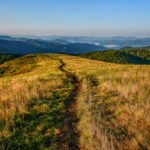 "Max Patch Trail in the Pisgah National Forest" by Daniel Plotts