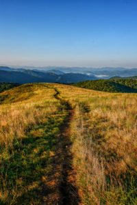 "Max Patch Trail in the Pisgah National Forest" by Daniel Plotts