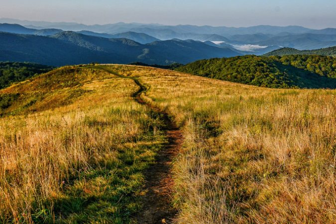 "Max Patch Trail in the Pisgah National Forest" by Daniel Plotts