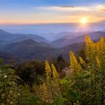 "Sun and Wildflowers near Milepost 429" by Dawnfire Photography