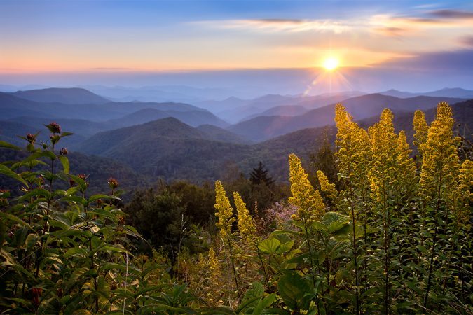 "Sun and Wildflowers near Milepost 429" by Dawnfire Photography