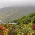 "Autumn Fog at Rough Ridge Trail, Milepost 302.8" by Craig Zerbe