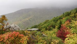 "Autumn Fog at Rough Ridge Trail, Milepost 302.8" by Craig Zerbe