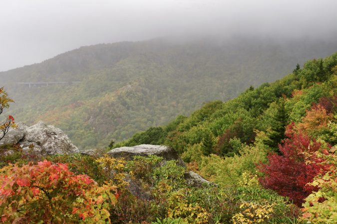 "Autumn Fog at Rough Ridge Trail, Milepost 302.8" by Craig Zerbe