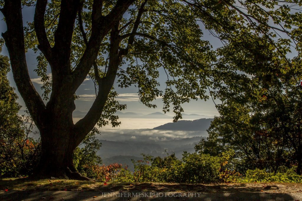 "Chestnut Cove Overlook, Milepost 398.3" by Jennifer Mesk Photography