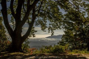 "Chestnut Cove Overlook, Milepost 398.3" by Jennifer Mesk Photography