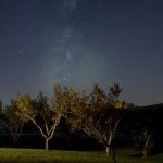 "Stars over Fancy Gap Cabins & Campground, Milepost 202.5" by Leiane Gibson
