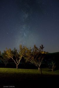 "Stars over Fancy Gap Cabins & Campground, Milepost 202.5" by Leiane Gibson