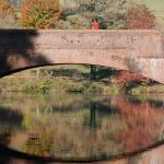 "Biltmore Estate Grounds, Asheville, NC" by Monica Sandberg