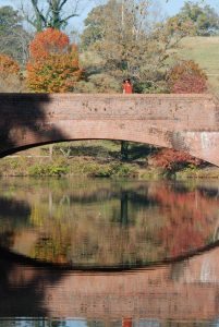 "Biltmore Estate Grounds, Asheville, NC" by Monica Sandberg