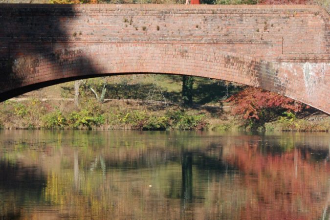 "Biltmore Estate Grounds, Asheville, NC" by Monica Sandberg