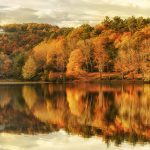 "Cone Manor Overlooking Bass Lake, Milepost 294" by Craig Zerbe