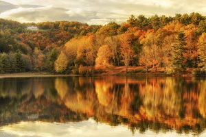 "Cone Manor Overlooking Bass Lake, Milepost 294" by Craig Zerbe