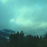 "Fog over Waterrock Knob, Milepost 451.2" by Teri Leigh Teed