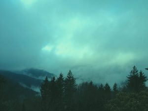 "Fog over Waterrock Knob, Milepost 451.2" by Teri Leigh Teed