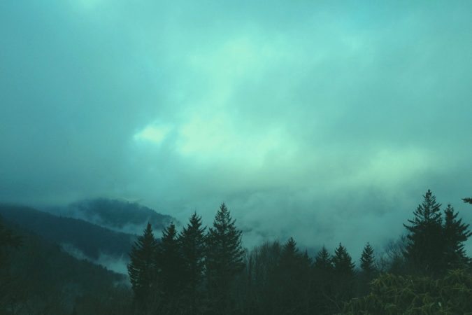 "Fog over Waterrock Knob, Milepost 451.2" by Teri Leigh Teed