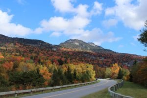 "Parkway from Beacon Heights Parking Area, Milepost 305.2" by Karen Leonard