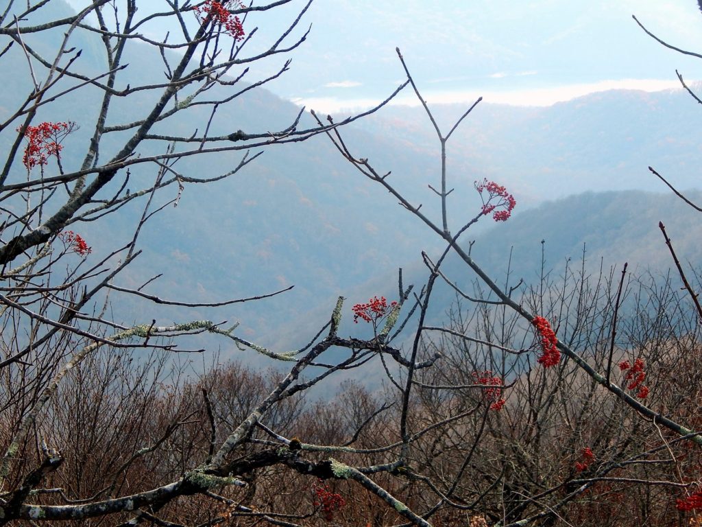 "A Winter View from the Blue Ridge Parkway" by B Grant Art