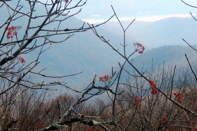 "A Winter View from the Blue Ridge Parkway" by B Grant Art