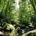 "Between Boone and North Wilkesboro" by Eva Riffe