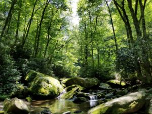 "Between Boone and North Wilkesboro" by Eva Riffe