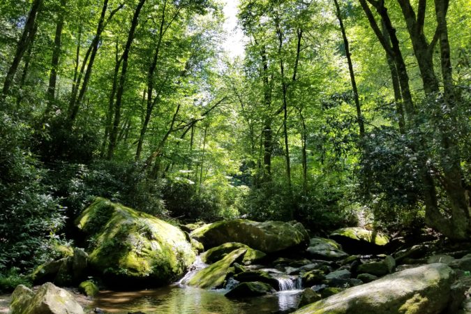 "Between Boone and North Wilkesboro" by Eva Riffe