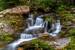 "Cascades in the Green River Game Lands" by HD Carolina