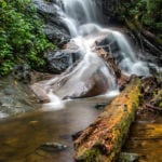 "Log Hollow Falls in Pisgah National Forest" by HD Carolina