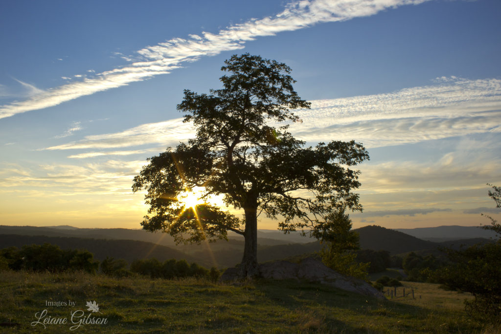 "Virginia's Rocky Knob, Milepost 169" by Leiane Gibson