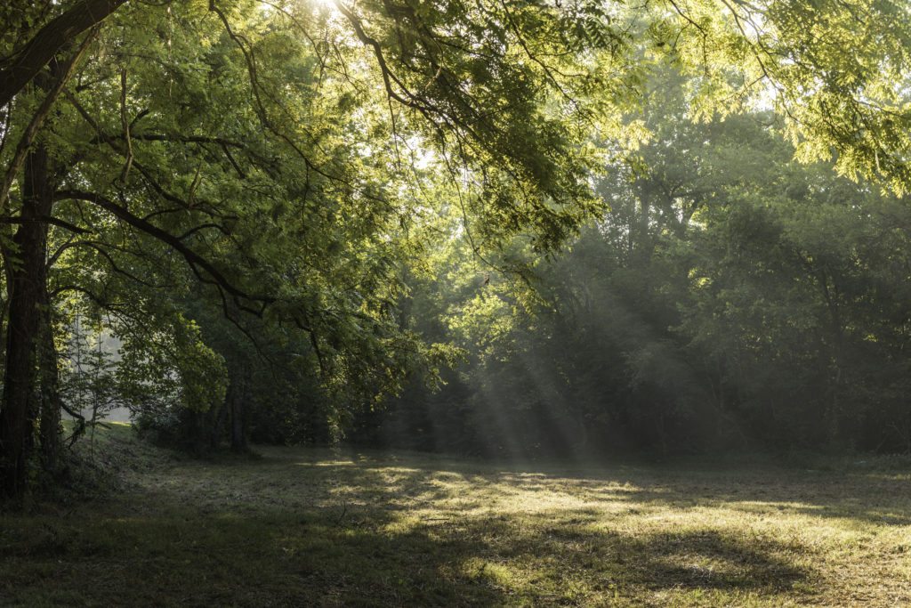 "At the James River Visitor Center, Milepost 63.7" by Maria Jaeger Photography